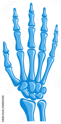 Vibrant Blue Stylized Human Hand Skeleton Bones Anatomy Medical Science Illustration