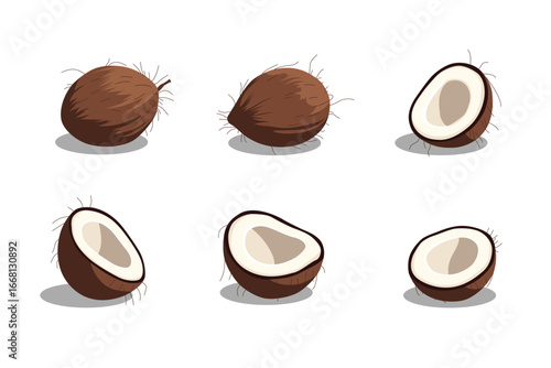 Flat vector illustration of coconuts, whole and half cut with white flesh, tropical fruit design isolated on white background