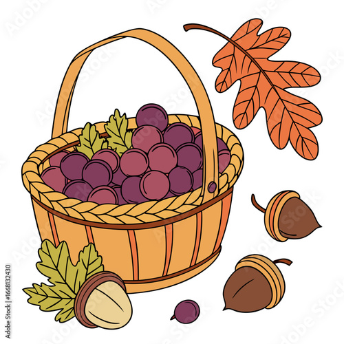 Illustration of a basket filled with grapes accompanied by acorns and a vibrant autumn leaf design