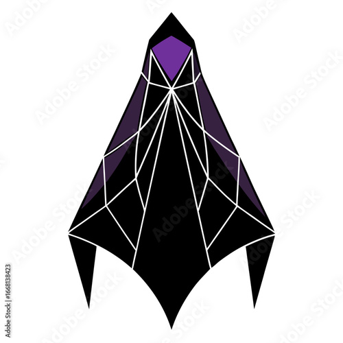 Geometric Veil Vector