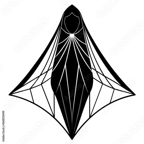 Geometric Veil Vector