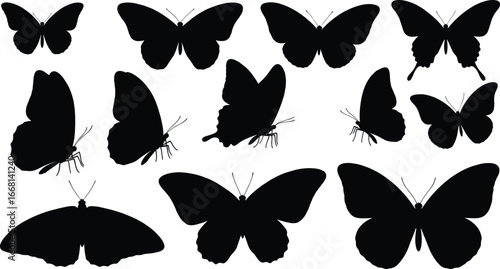 Assortment of Black Butterfly Silhouettes in Different Poses and Sizes butterflies insect