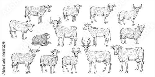 Collection of black and white line art illustrations of various farm animals and deer livestock cattle