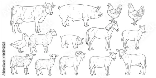 Collection of Farm Animals in Black and White Line Art Style chicken horse