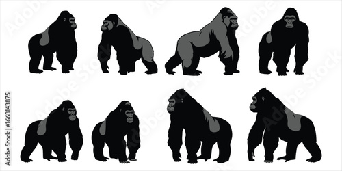 Eight black and gray gorilla silhouettes in various poses on white gorillas