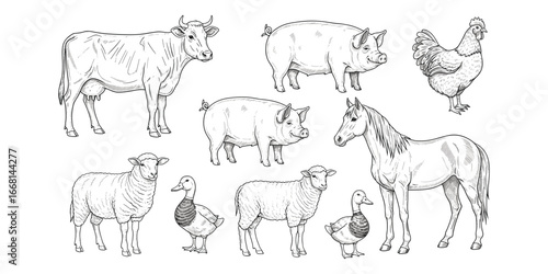 Farm Animals Sketch Collection with Cow, Pigs, Chicken, Horse, Sheep, Duck vector illustration