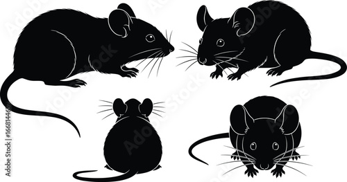Four Black Silhouette Mice Poses On White Background Vector Illustration mouse rodent