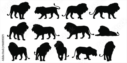 Multiple Black Lion Silhouettes in Different Poses on a White Background big cat feline