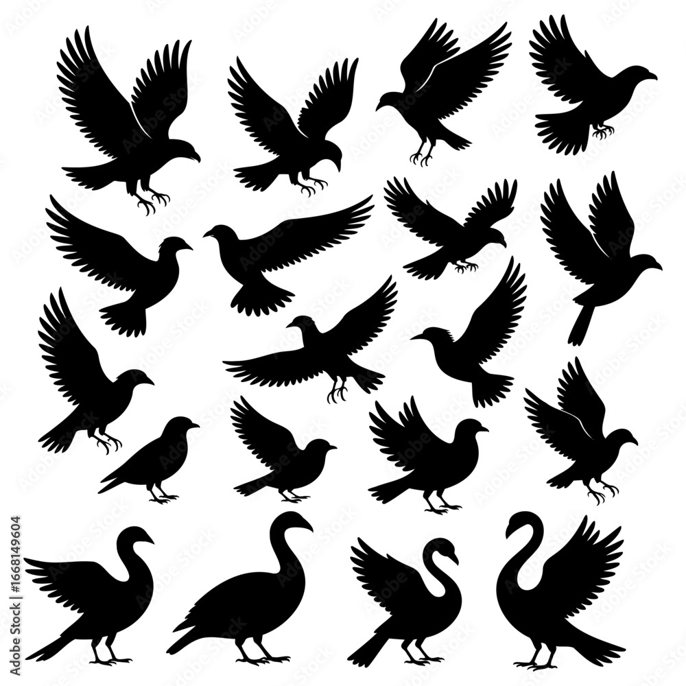 Fototapeta premium Pigeons and Swans Silhouettes. Vector Illustration