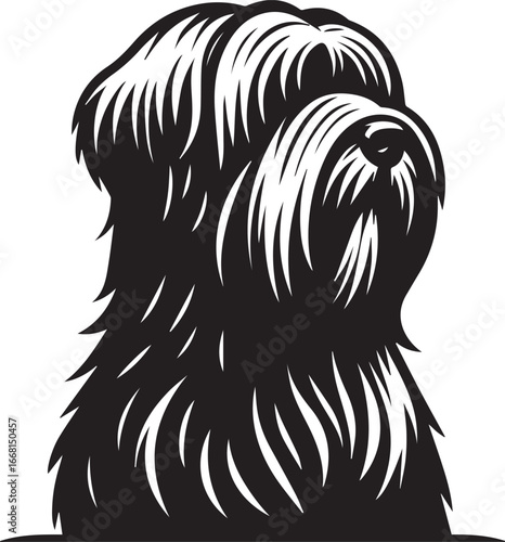 Briard Dog vector in black and white