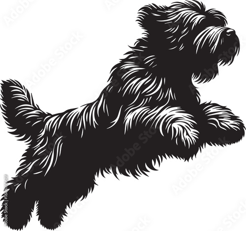Briard Dog vector in black and white
