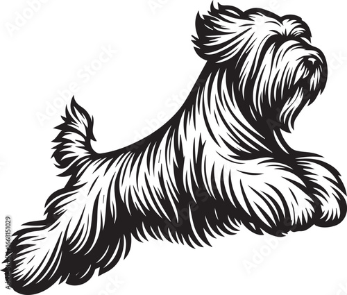 Briard Dog vector in black and white