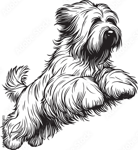 Briard Dog vector in black and white