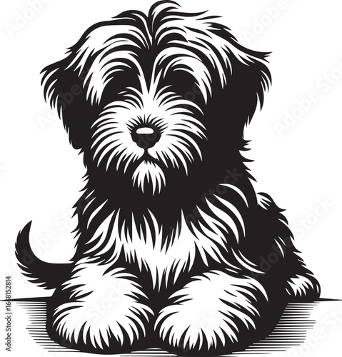 Briard Dog vector in black and white