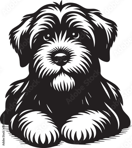 Briard Dog vector in black and white