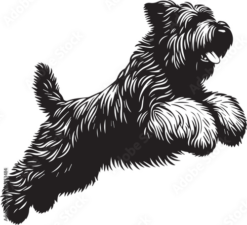 Briard Dog vector in black and white