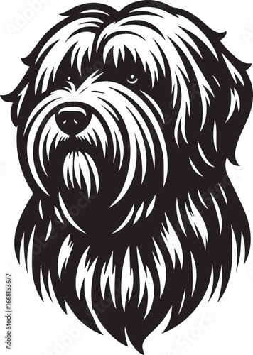 Briard Dog vector in black and white