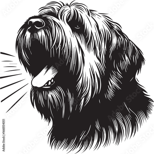 Briard Dog vector in black and white