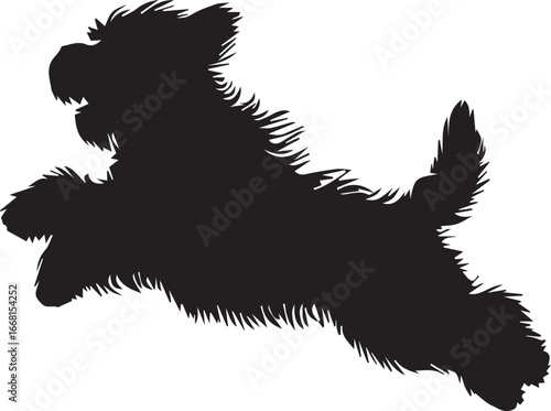 Briard Dog vector in black and white