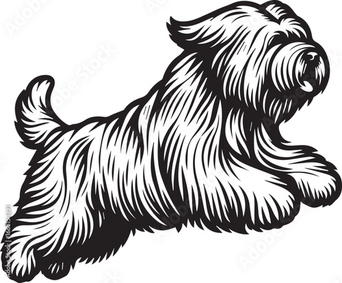 Briard Dog vector in black and white