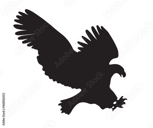 eagle in flight