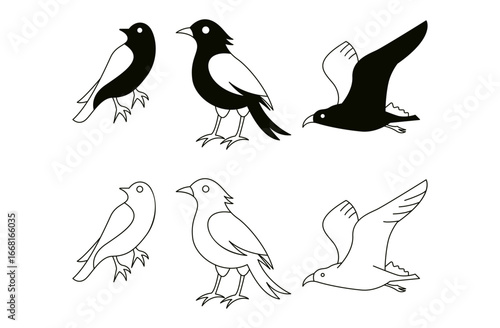 set of vector birds with black and white color