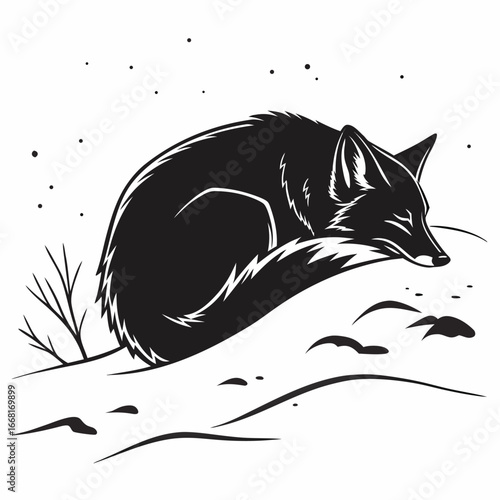 Fox curled up in snow silhouette