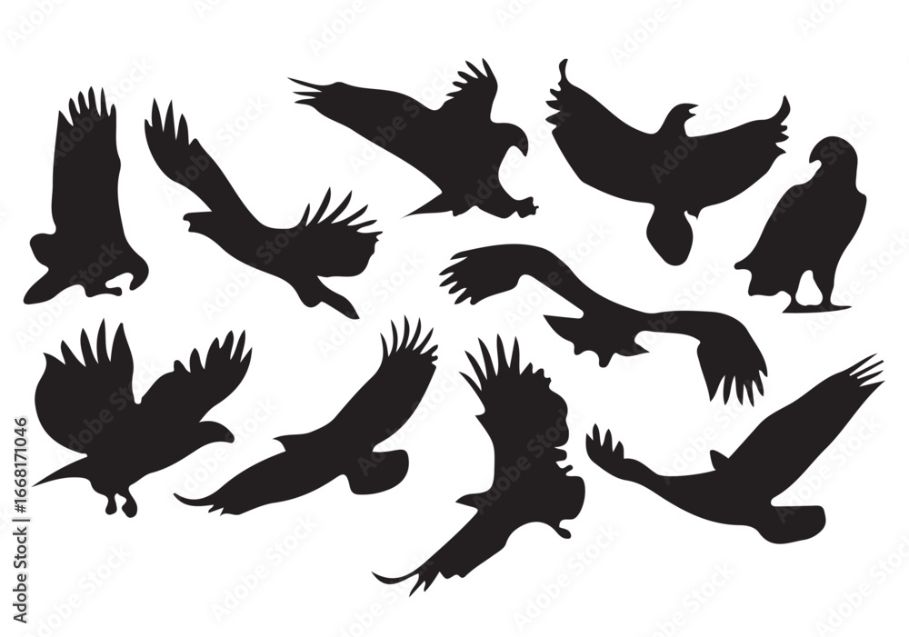 Obraz premium silhouettes of eagle
