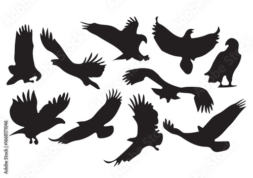 silhouettes of eagle