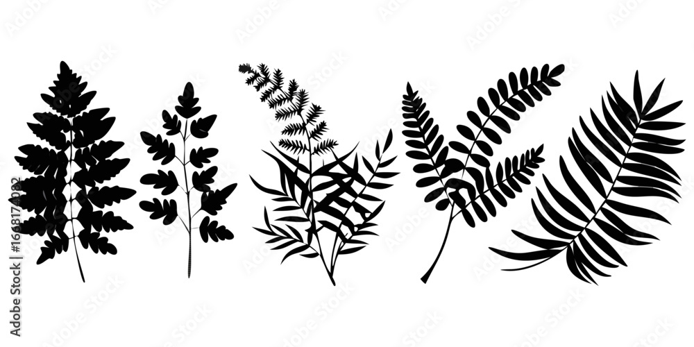 Naklejka premium Ferns Tree Best icons