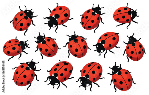 Ladybug gathering vector art – colorful, detailed ladybugs pattern for spring and nature designs