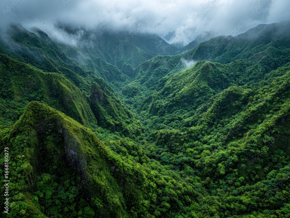 Fototapeta premium Aerial View of Lush Green Rainforest Mountains with Fog