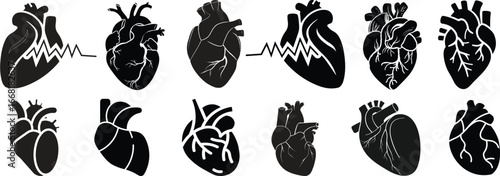 Anatomical heart icon set.Human anatomy internal organ set with brain lung intestine heart kidney liver and stomatch.Healthy Cardiovascular Organ Symbol Collection on White Background and red.