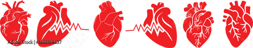 Anatomical heart icon set.Human anatomy internal organ set with brain lung intestine heart kidney liver and stomatch.Healthy Cardiovascular Organ Symbol Collection on White Background and red.