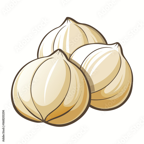 illustration of garlic