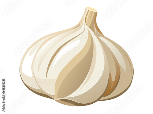 garlic isolated on white background