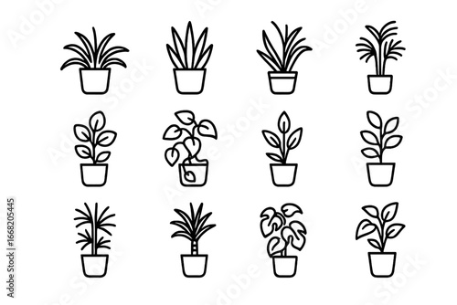 Air-Purifying Plant Icons. Outline icon set of indoor air-purifying plants: spider plant, snake plant, aloe