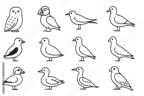 Arctic Birds Icon Grid. Outline icon set of Arctic birds: snowy owl, puffin, arctic tern, common eider, black