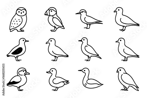 Arctic Birds Icon Grid. Outline icon set of Arctic birds: snowy owl, puffin, arctic tern, common eider, black