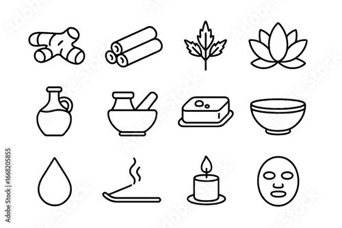Ayurvedic Beauty Icons. Outline icon set of ayurvedic beauty: turmeric root, sandalwood, neem leaf, lotus