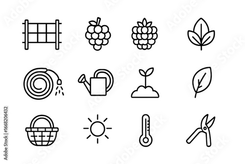 Berry Trellis Icon Set. Outline icon set of berry trellis systems: trellis, grape, raspberry, blackberry,