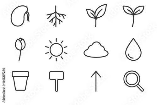 Botanical Icon Set. Outline icon set of botanical illustration of sprouting: seed diagram, root system, leaf,