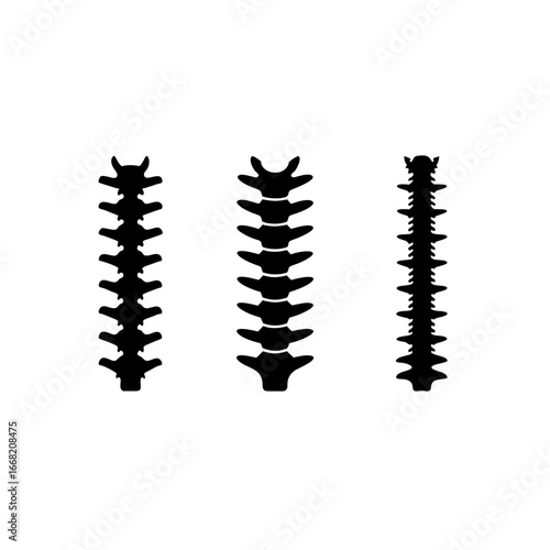 3 different spinal implant silhouette vector icons