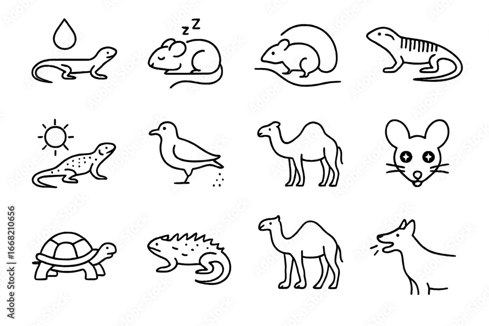 Naklejka premium Desert Animal Adaptations. Outline icon set of Adaptations of desert animals: water conservation, nocturnal