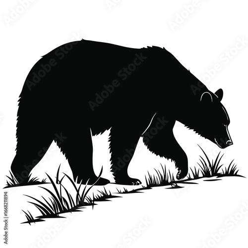 Bear sniffing ground silhouette