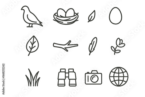 Endangered Birds Icon Set. Outline icon set of endangered birds’ nesting: rare bird silhouette, nest, egg,