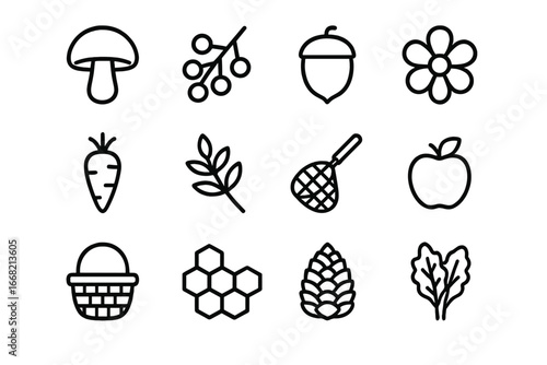 Foraging Icon Grid. Outline icon set of foraging wild food: mushroom, berry branch, nut, edible flower, root