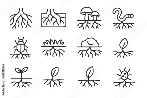 Forest Roots Icon Set. Outline icon set of interconnected forest roots: root network, soil profile, fungi,