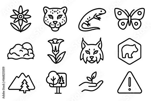 Alpine Species Icon Set. Outline icon set of endangered alpine species: edelweiss plant, snow leopard, alpine