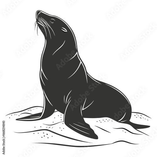 Seal resting on sandy shore silhouette